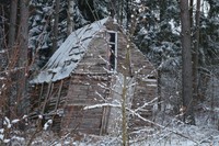 Antano vaikų namelis miške. /