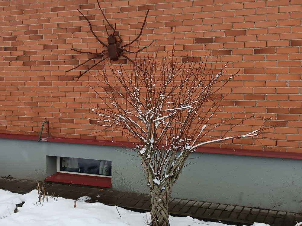 Juozo sodyba Krikštonių kaime. /