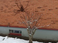 Juozo sodyba Krikštonių kaime. /