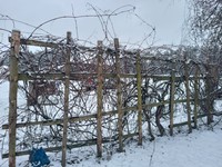 Antano ūkis Žilvičių kaime. /