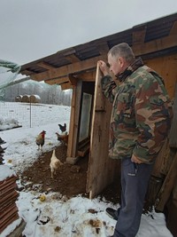 Juozo sodyba Krikštonių k. /