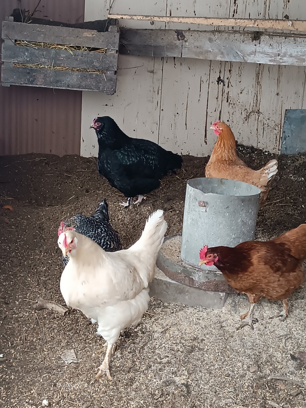 Juozo sodyba Krikštonių k. /