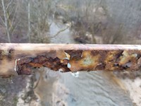 Tiltas per Šunijos upę. /