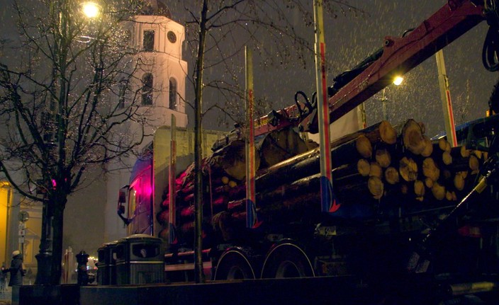 Nekertamas medis pūva. Ar tai blogai?