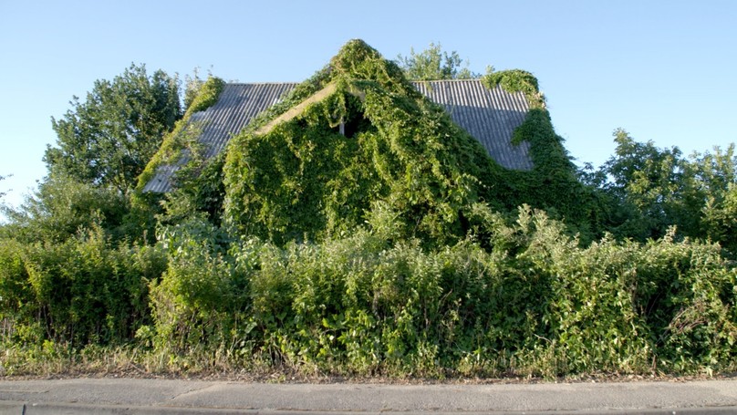 Panemunė