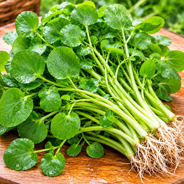 Watercress (Jalbi)