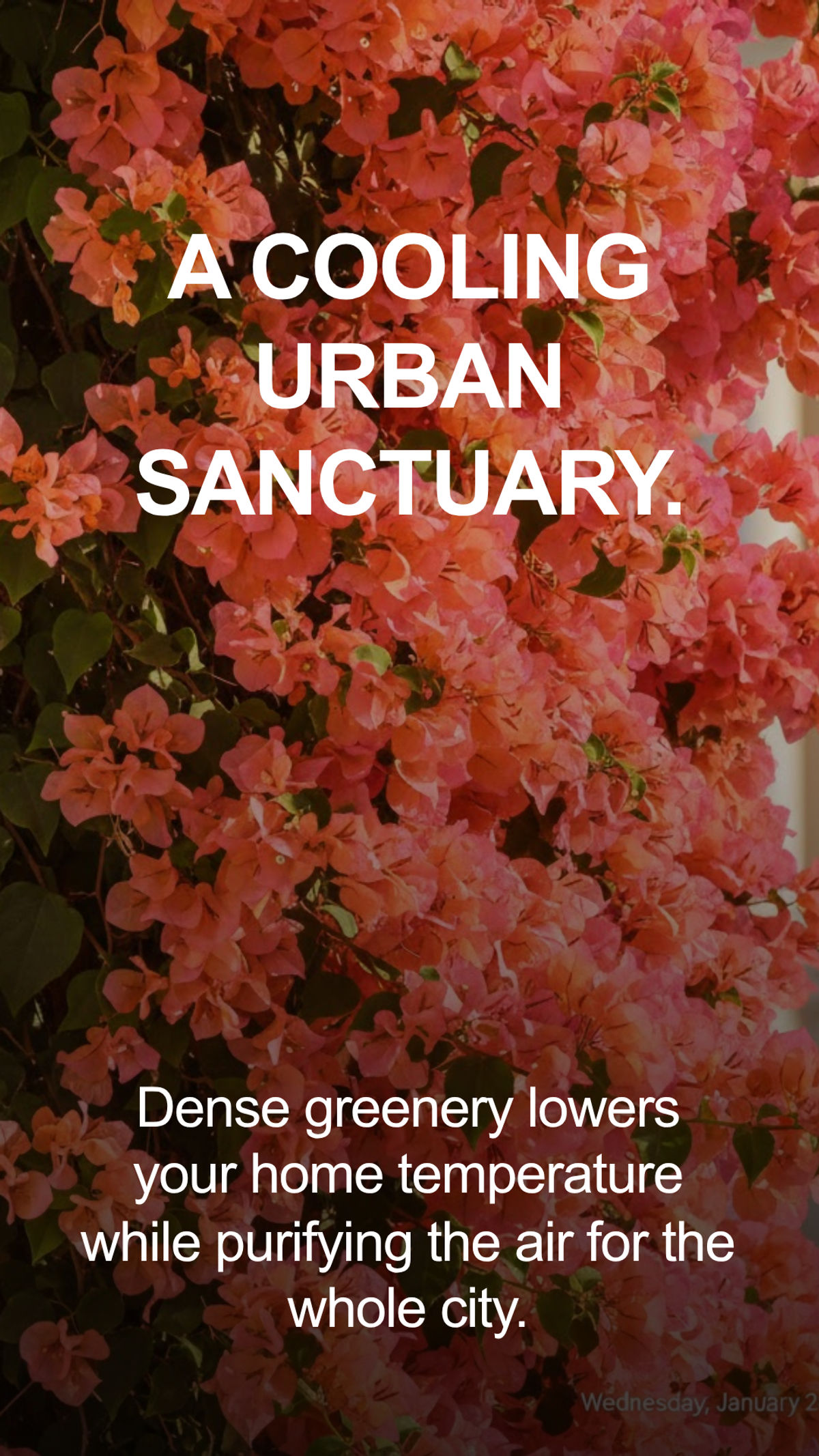 A cooling urban sanctuary