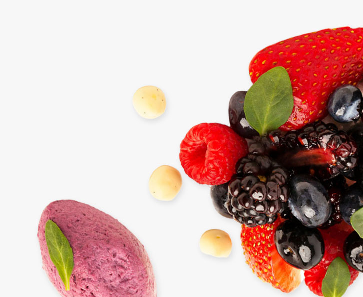 relish footer blog