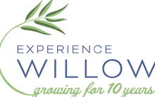 Experience Willow yr Logo