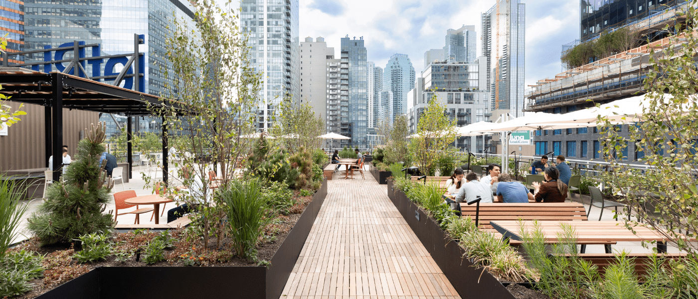 Rooftop garden in a city with people sitting at benches, plants, wooden walkway, and tall buildings in the background.