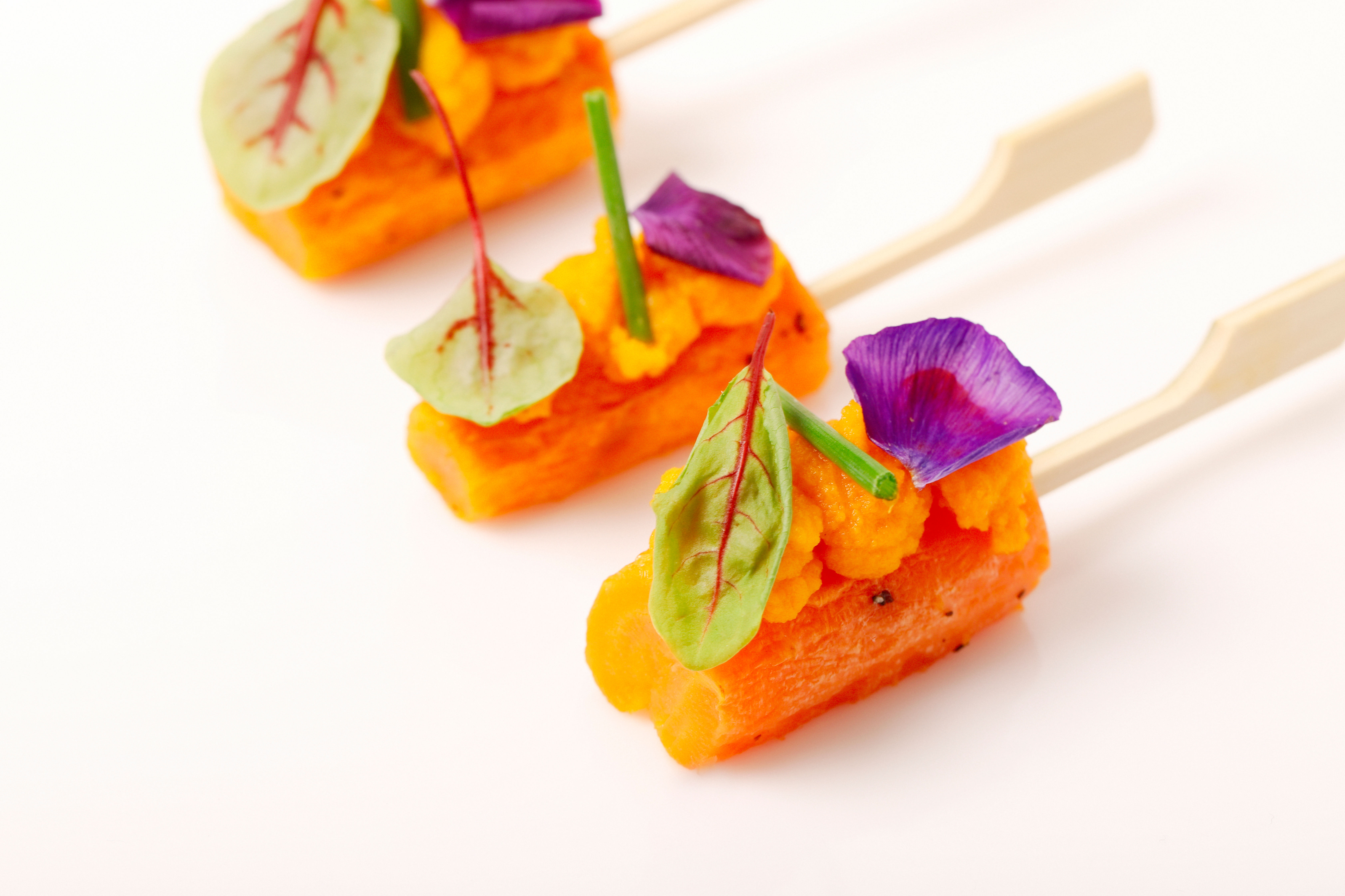 HDVS VEGAN CARROT FONDANT