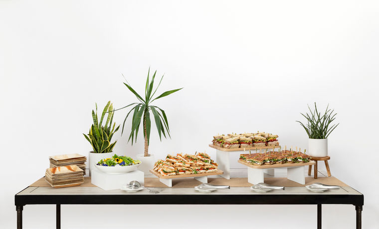 A table with trays of assorted sandwiches, salad, plates, and potted plants against a white background.