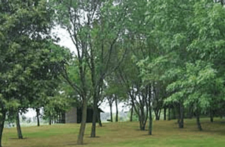 Kane County Forest Preserve