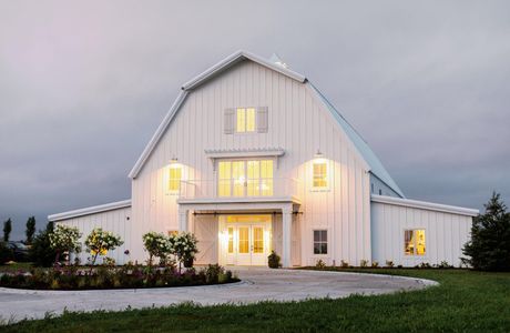 Providence Vineyard