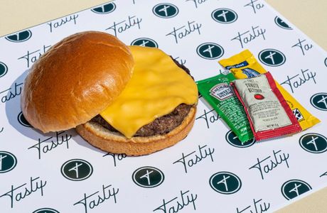 Tasty Cheeseburger