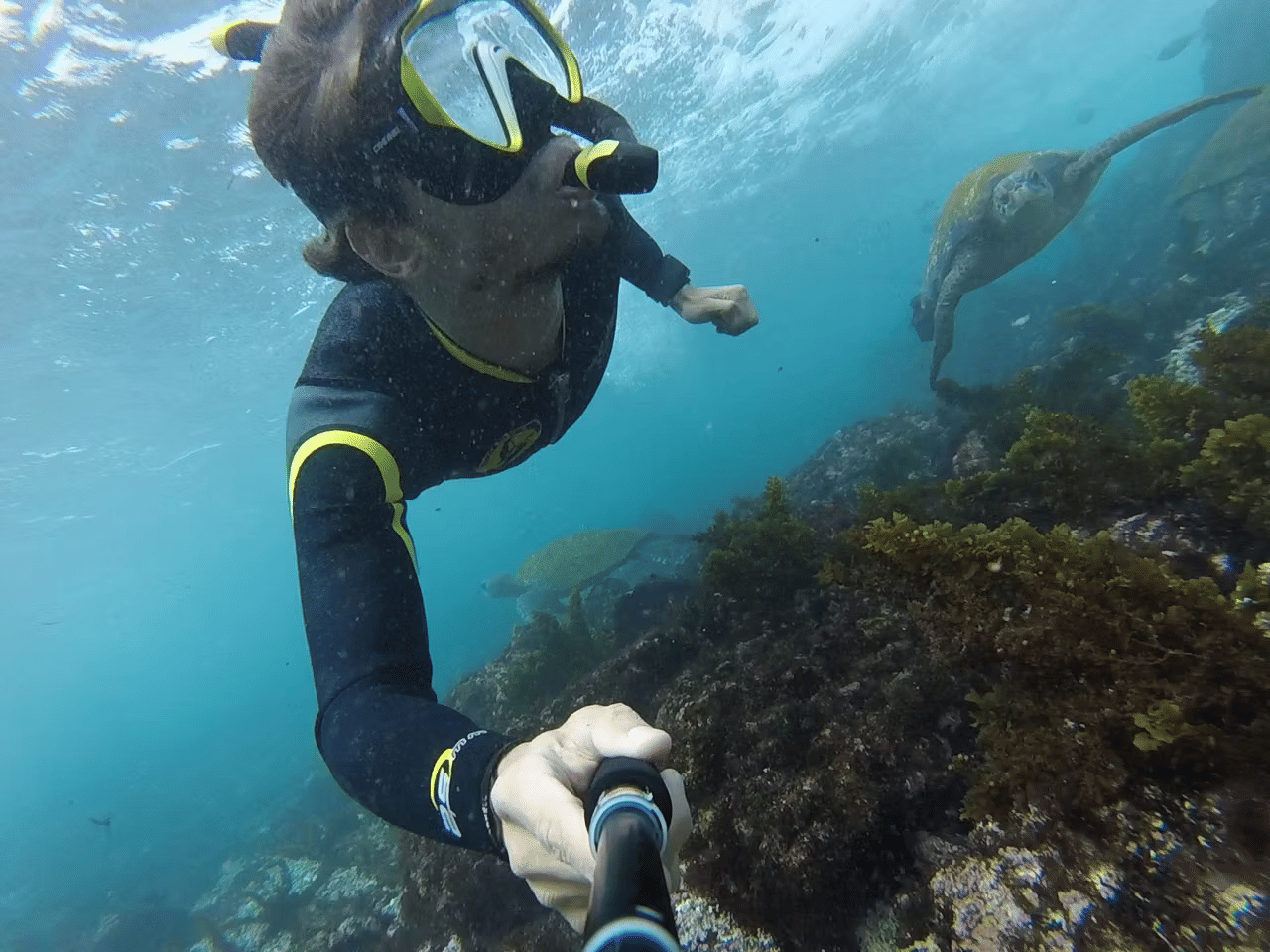 Snorkeler exploring Galapagos marine life