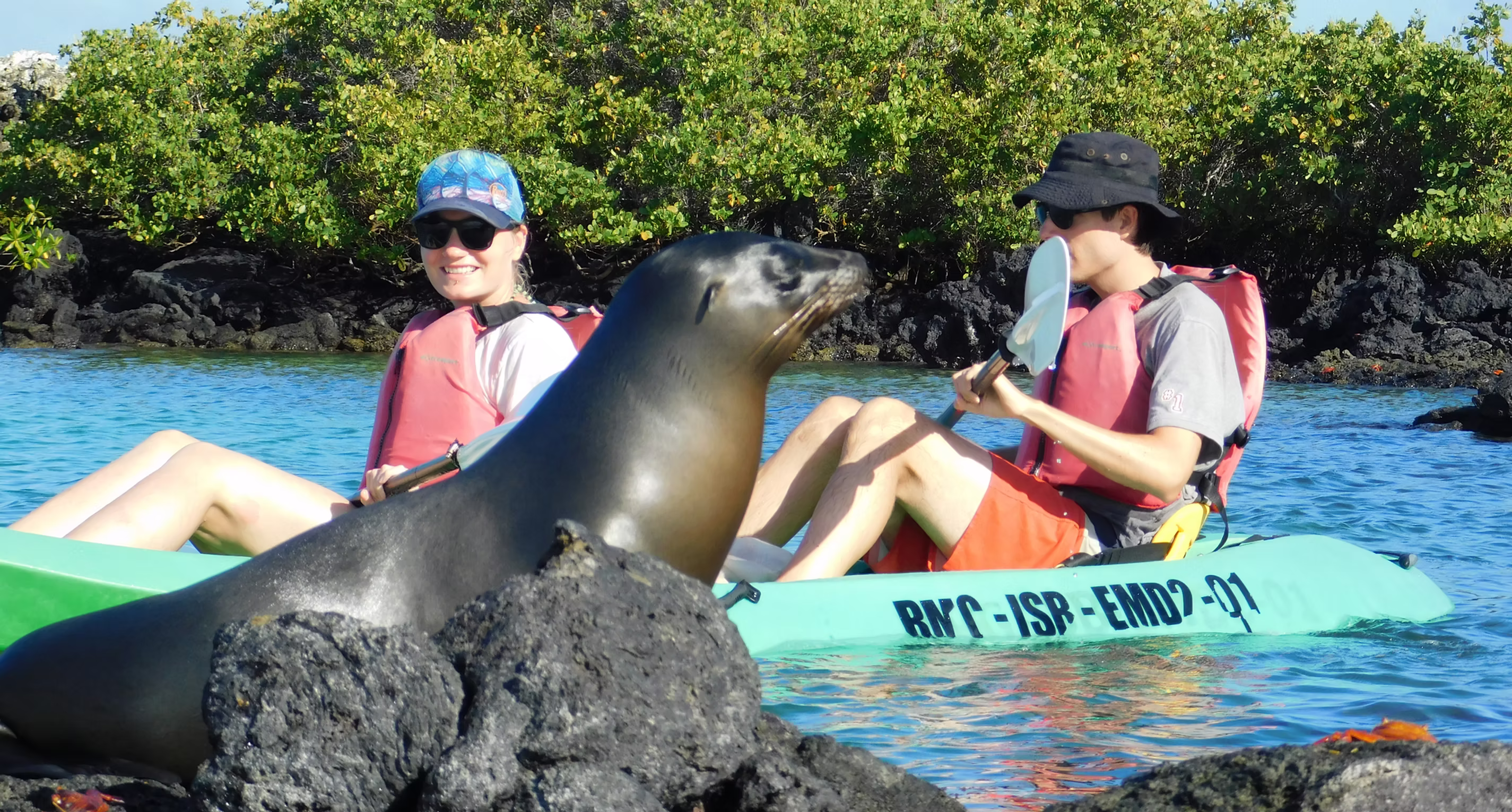 Custom Private Itineraries: Bespoke Luxury Trips in the Galapagos