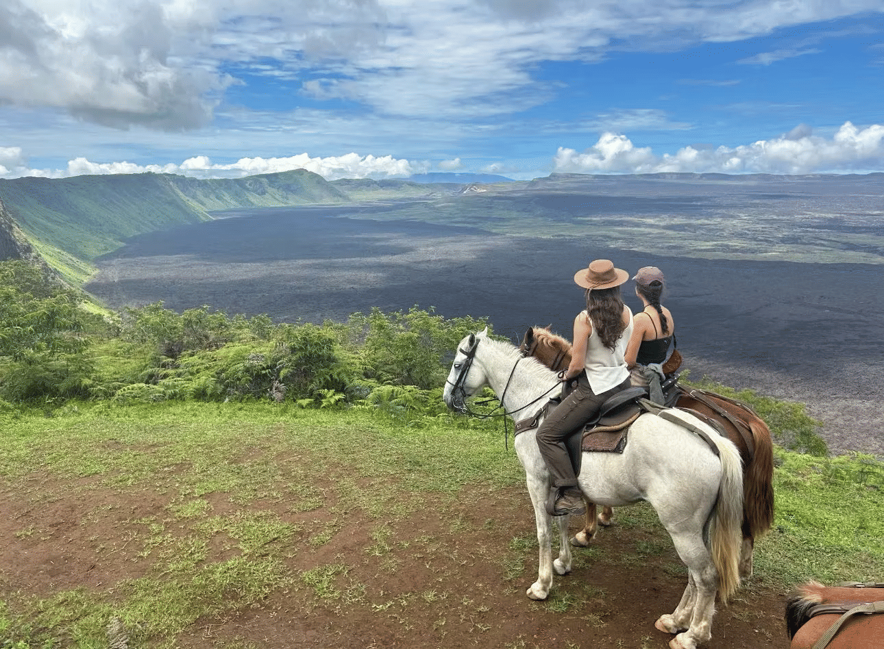 Understanding the Galapagos Vacation Cost: What to Expect and How to Plan