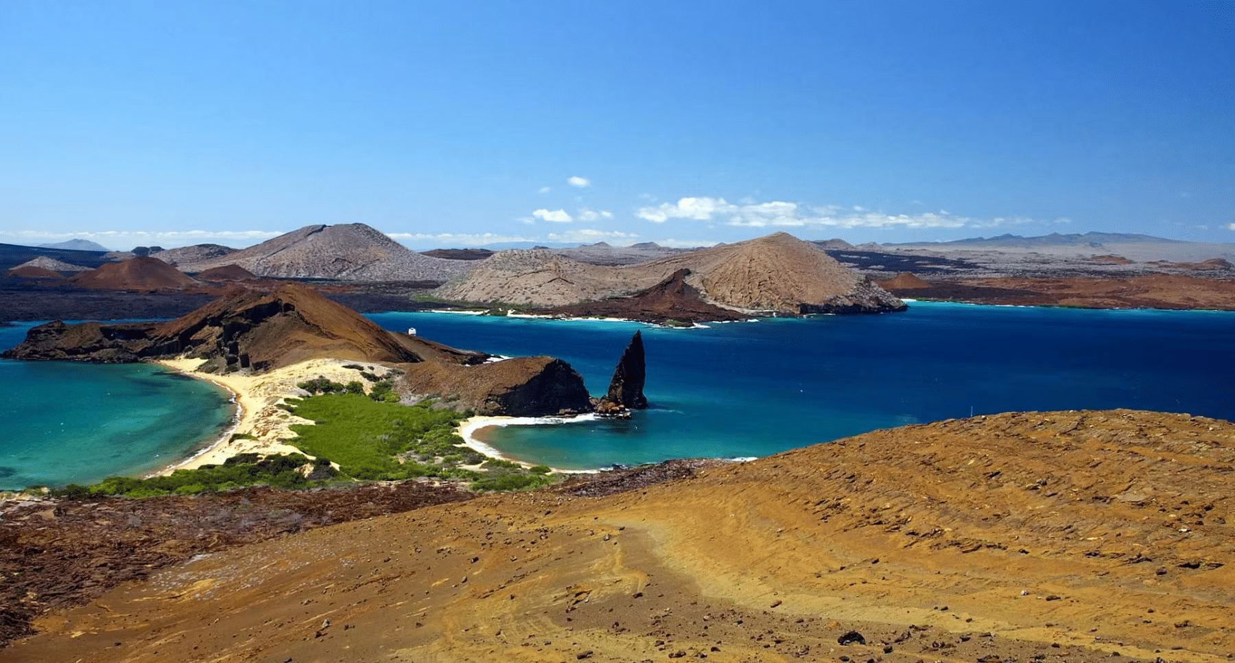 Your Complete Guide to the Galapagos Islands