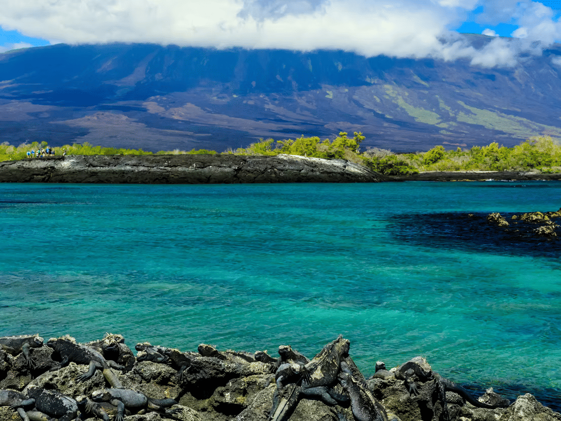 Your Comprehensive Galapagos Travel Guide