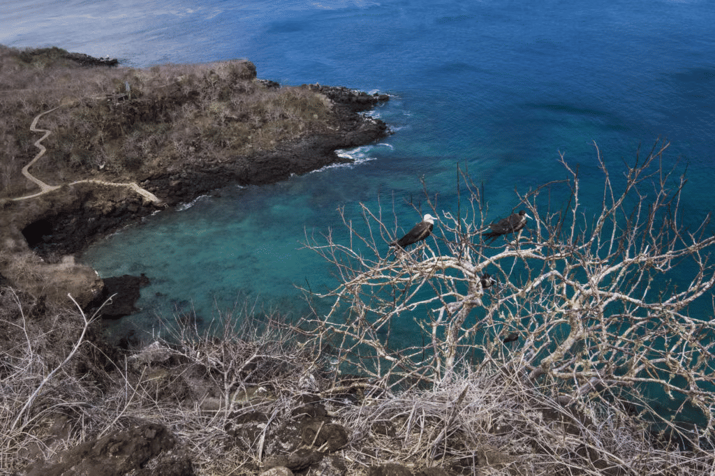 A glimpse of the dramatic volcanic landscape in the Galapagos Islands.
