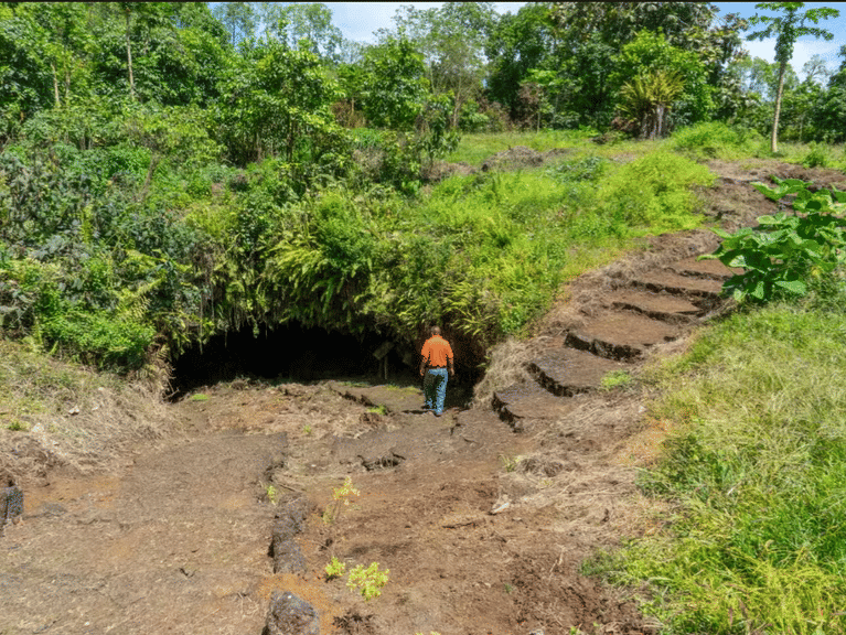 Entrance of Cueva de Sucre adorned with lush vegetation