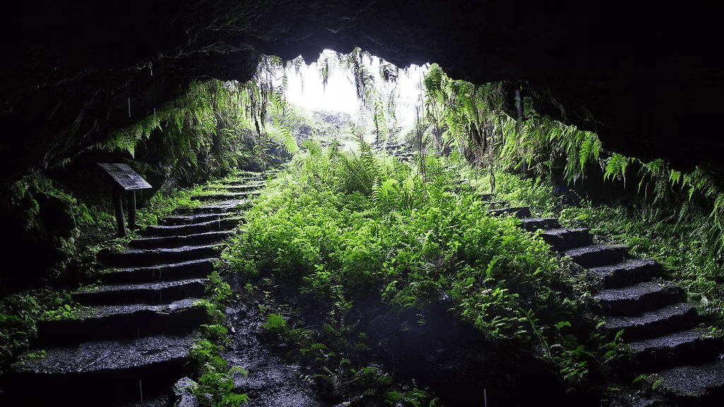 Inside the entrance of the cave