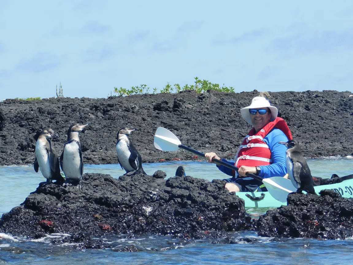 Exploring Las Tintoreras Islet: A Guide to Kayaking and SUP Adventures