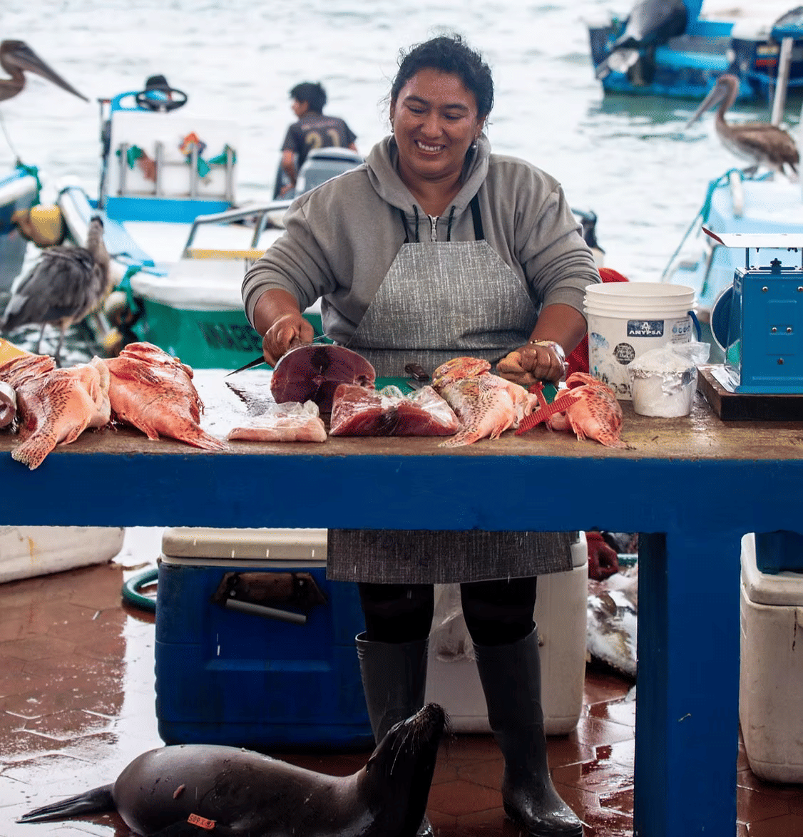 Galapagos Travel Essentials: Key Travel Information for the Galapagos Islands