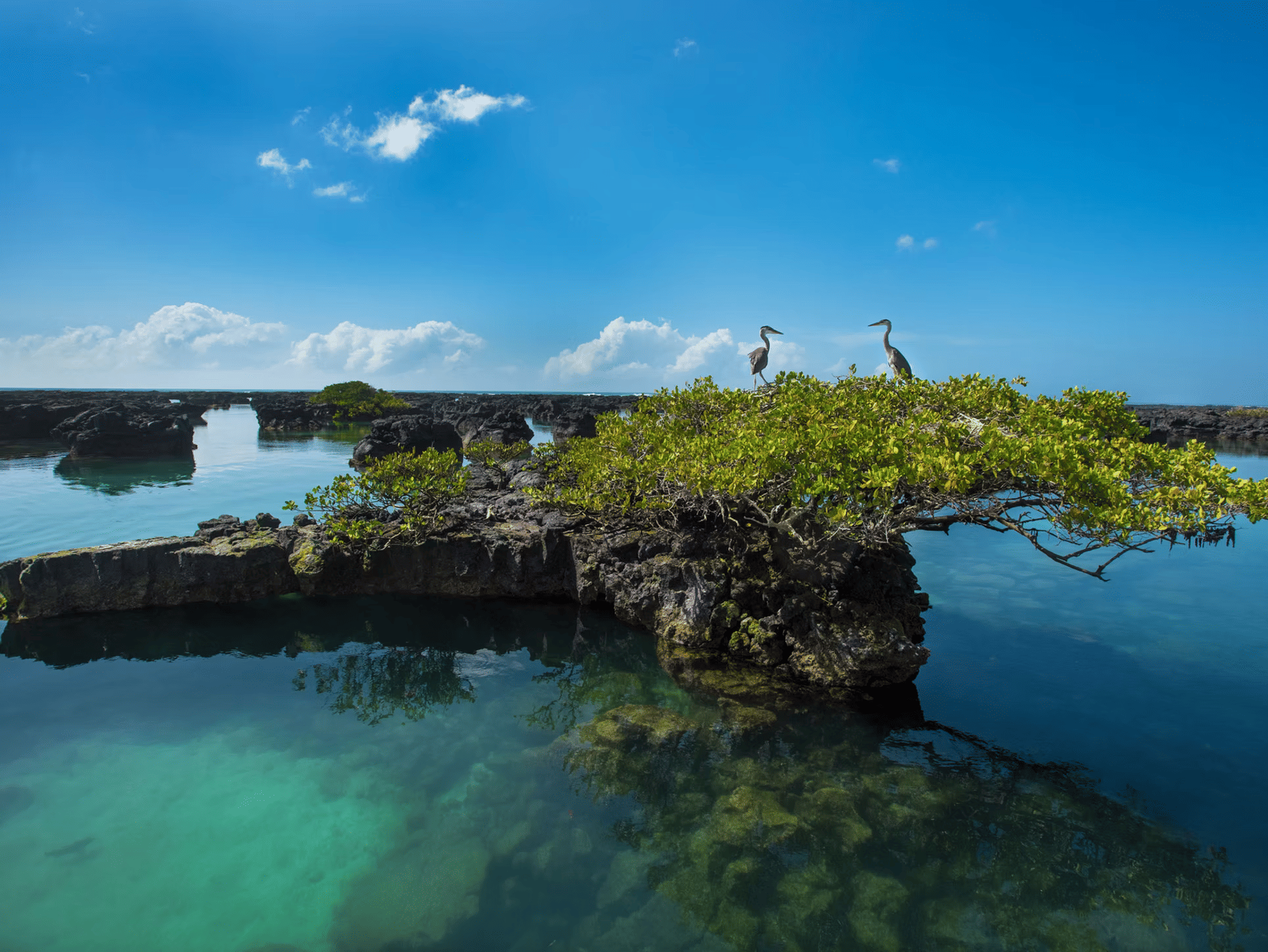Cabo Rosa and Los Tuneles: Galapagos' Hidden Gem