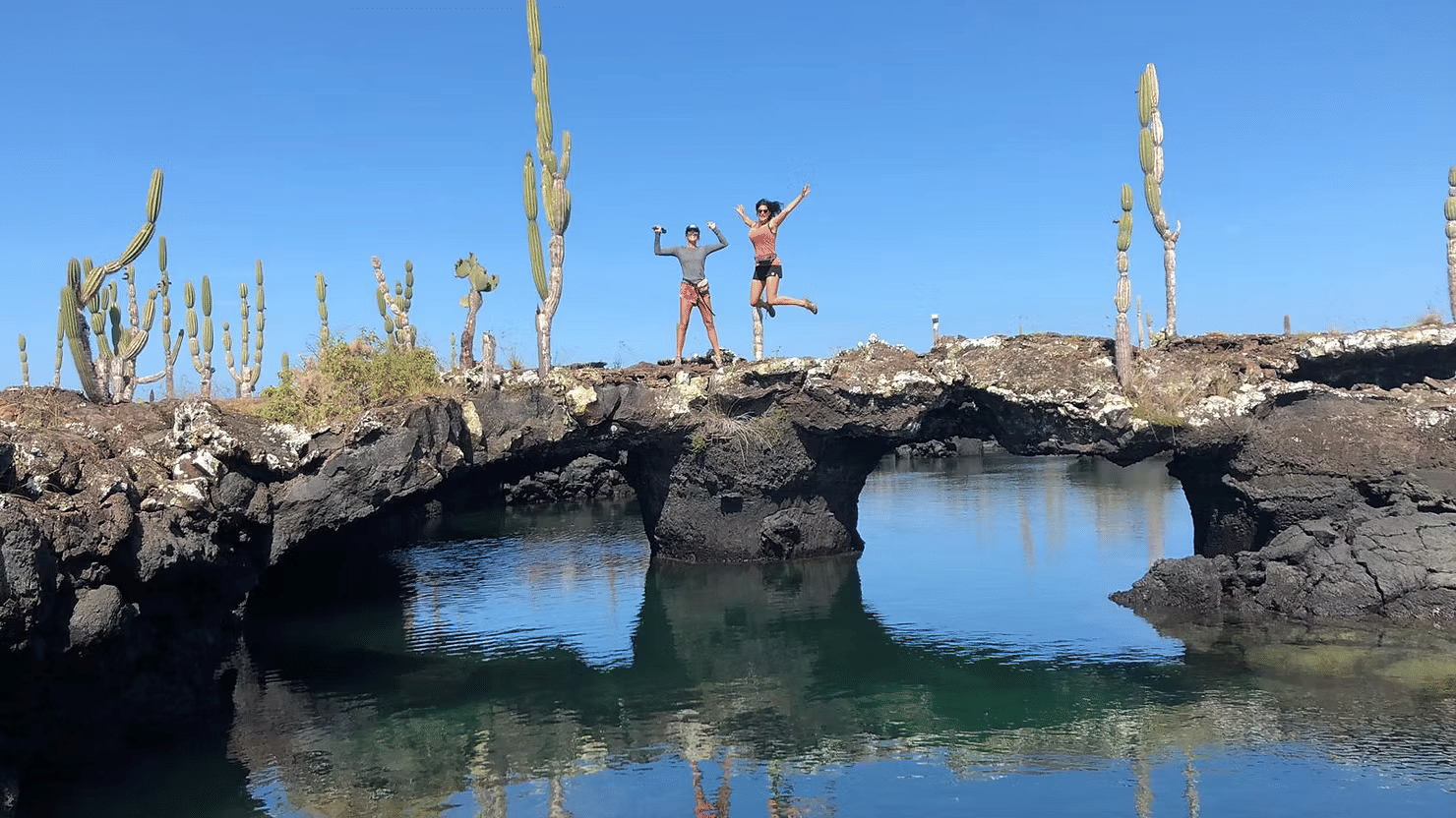 Galapagos volcanic island coastline