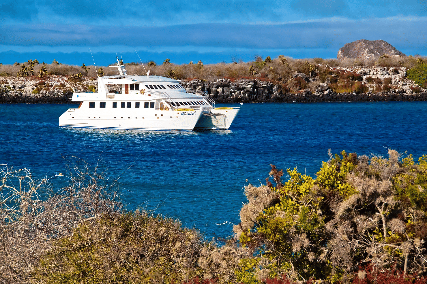 Top Reasons to Choose Family Cruises in Galapagos