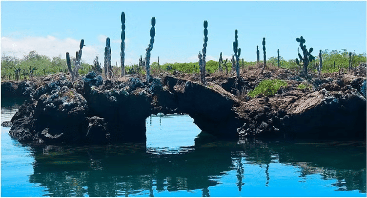 Underwater view of lava tunnels and marine life at Los Tuneles