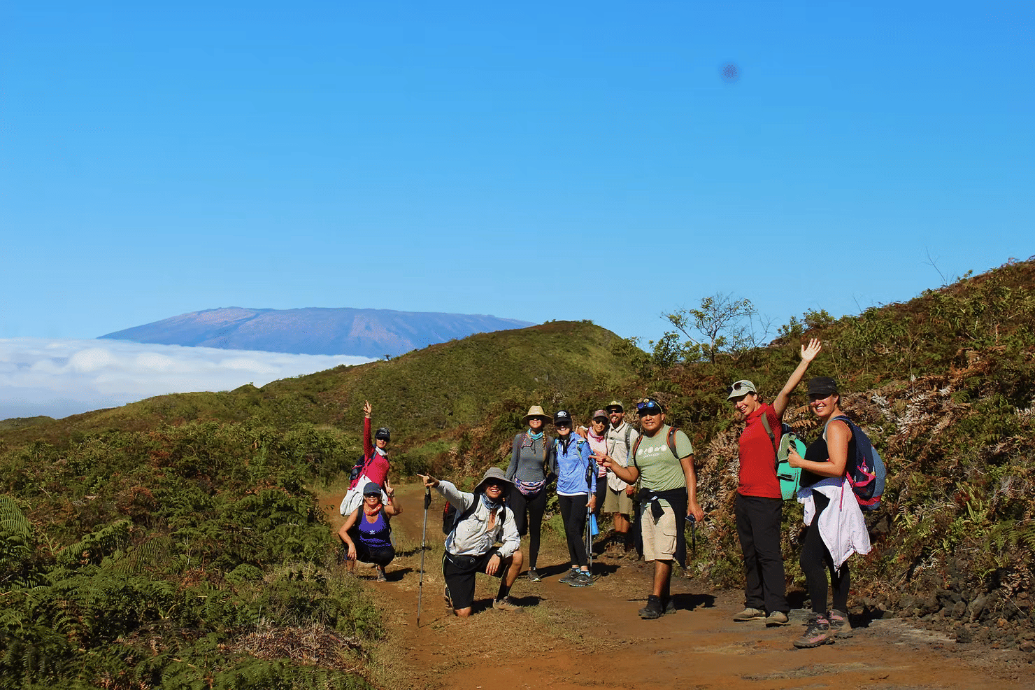Lush Highlands of Isabela Island