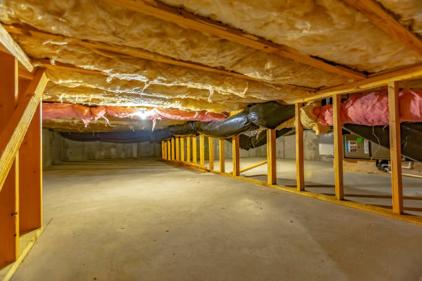 Basement insulation project photo