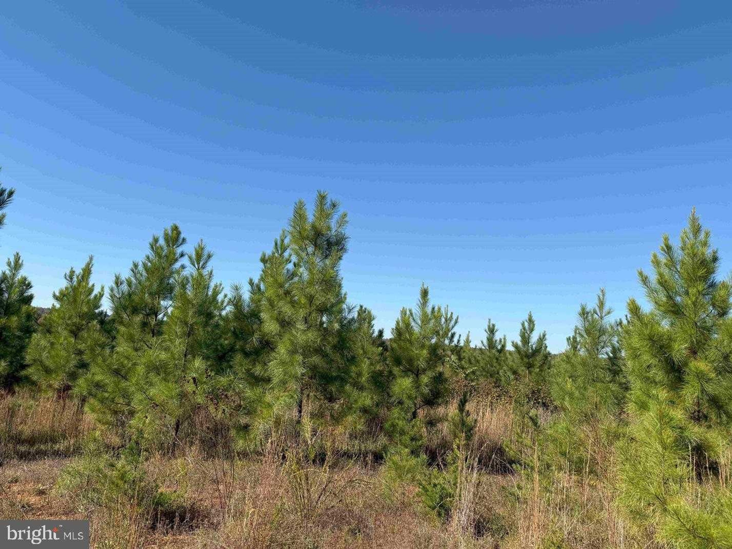 WOODFORK ROAD (RT. 650) (TRACT ROGERS-2) photo 2