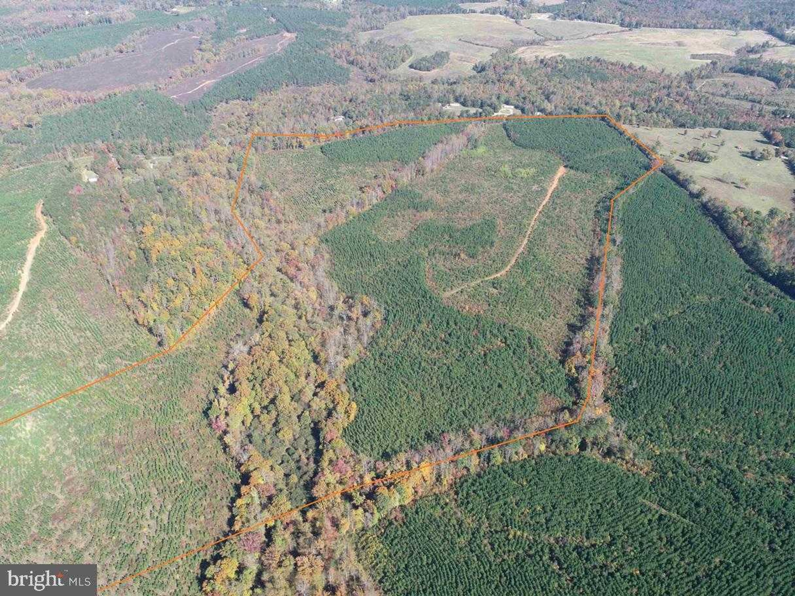WOODFORK ROAD (RT. 650) (TRACT ROGERS-2) photo 3
