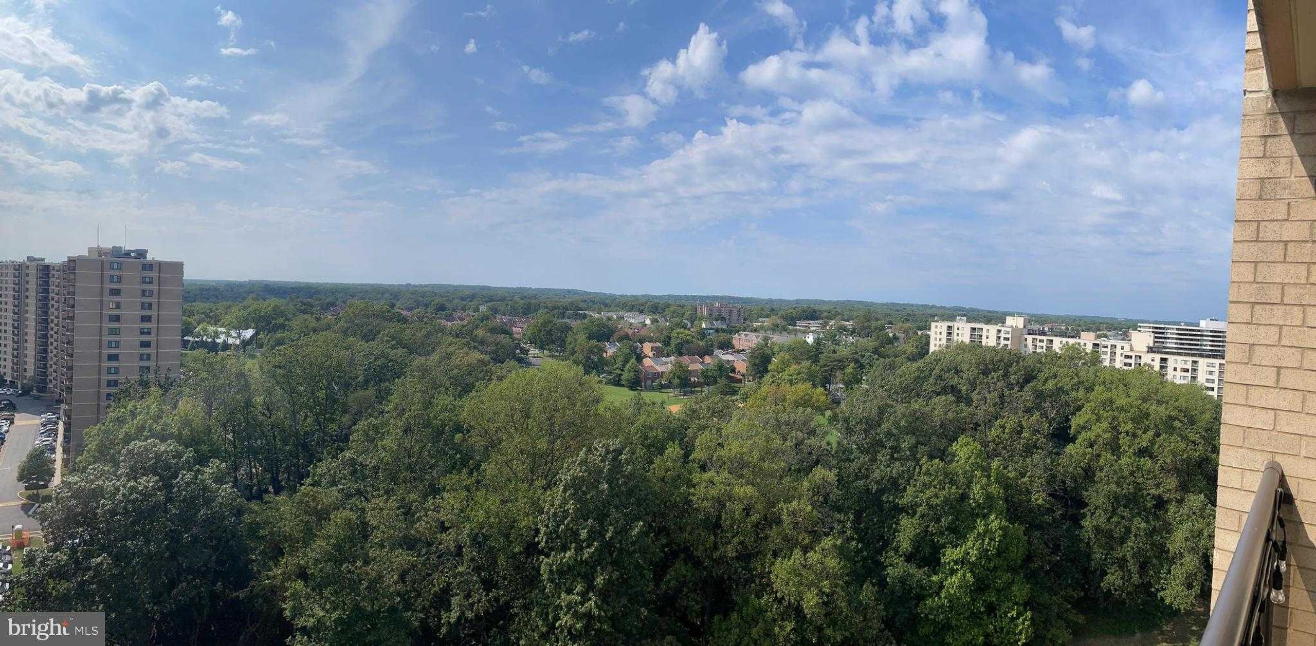 203 Yoakum Pkwy Apt 1807 photo 4