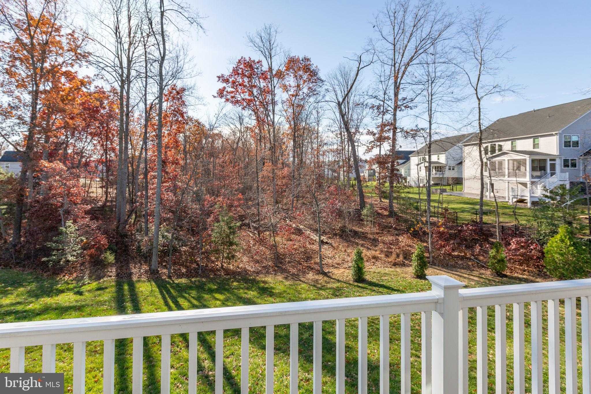 12301 Fawn Lake Pkwy photo 56