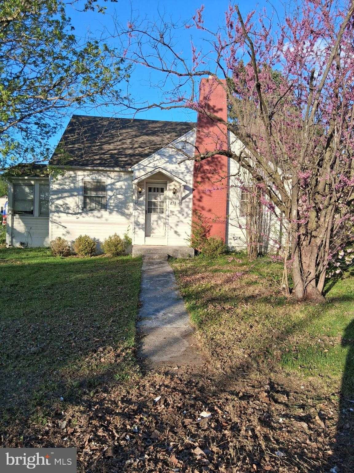 258 Warm Springs Ave photo 3