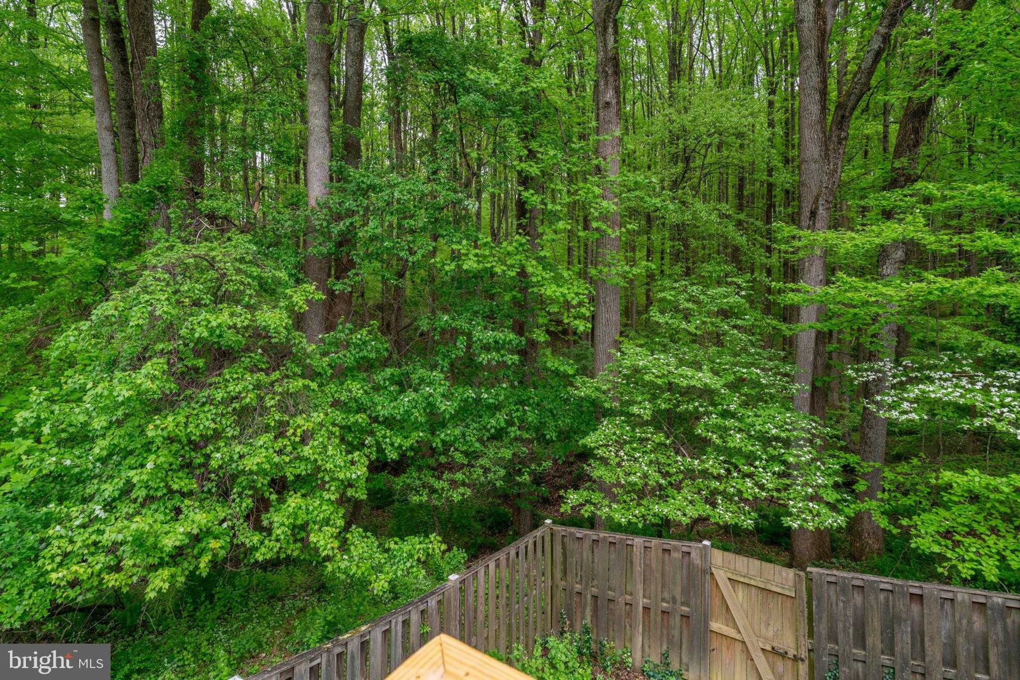 1314 Alderton Ln photo 9