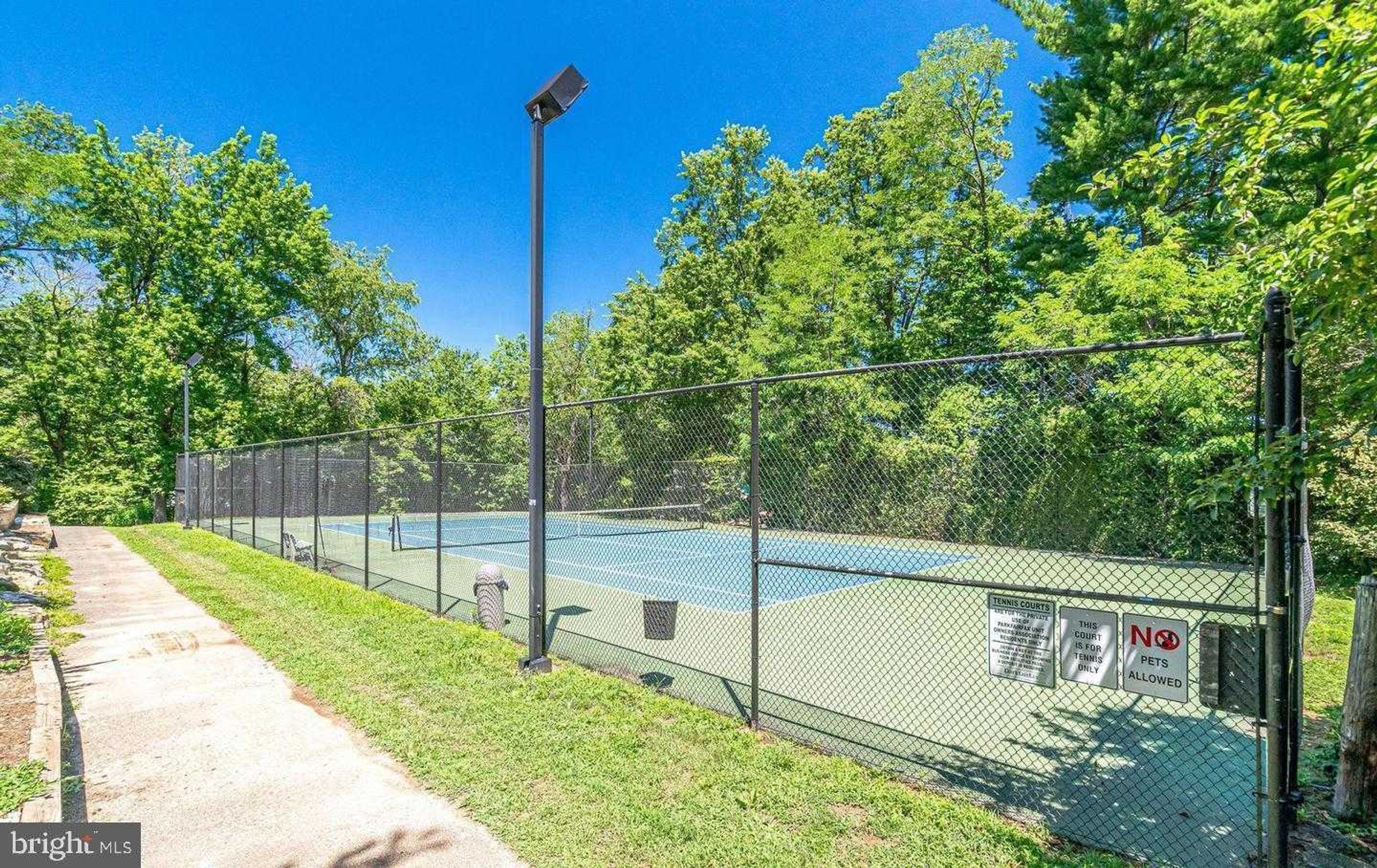 3539 Martha Custis Dr photo 26