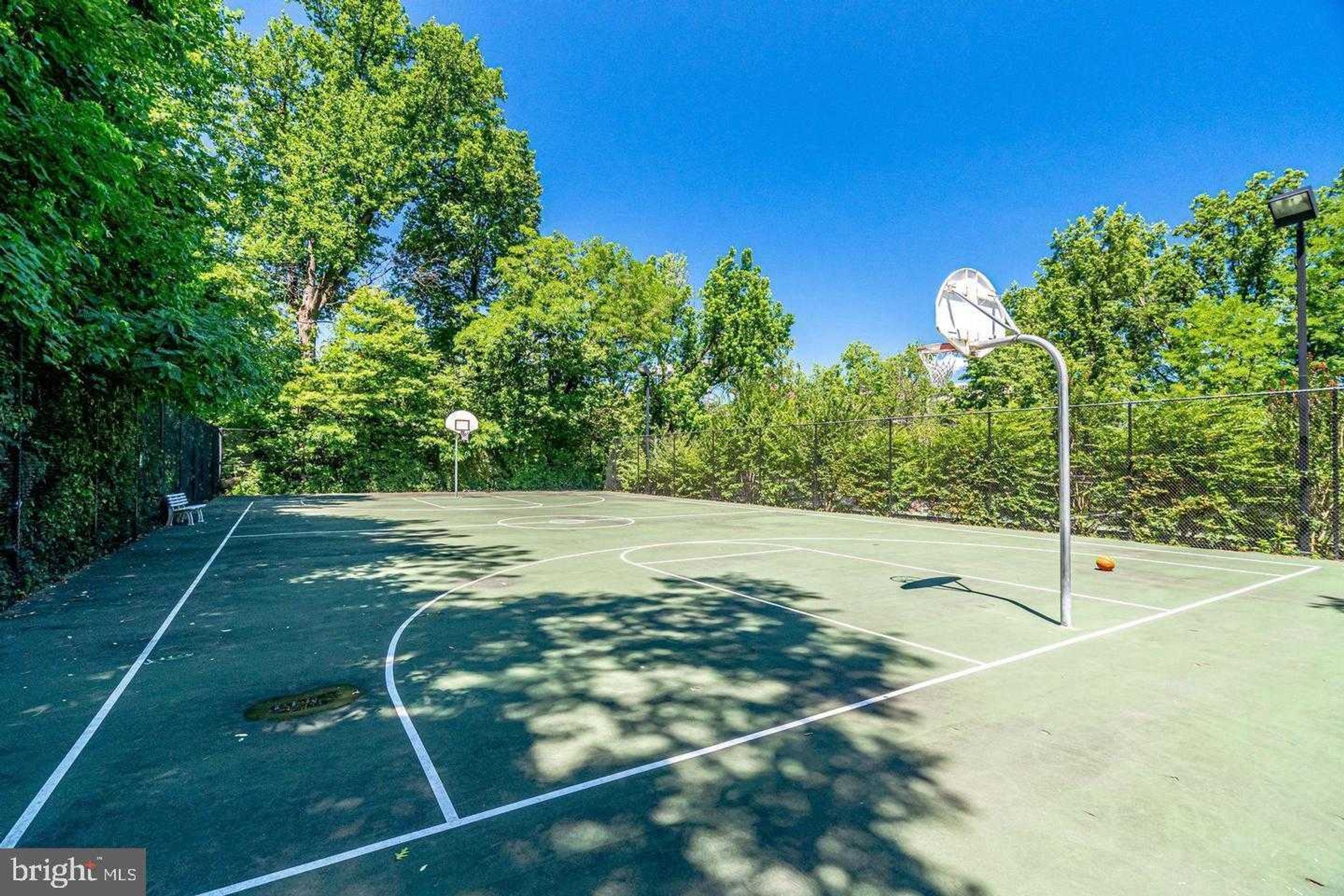 3539 Martha Custis Dr photo 28