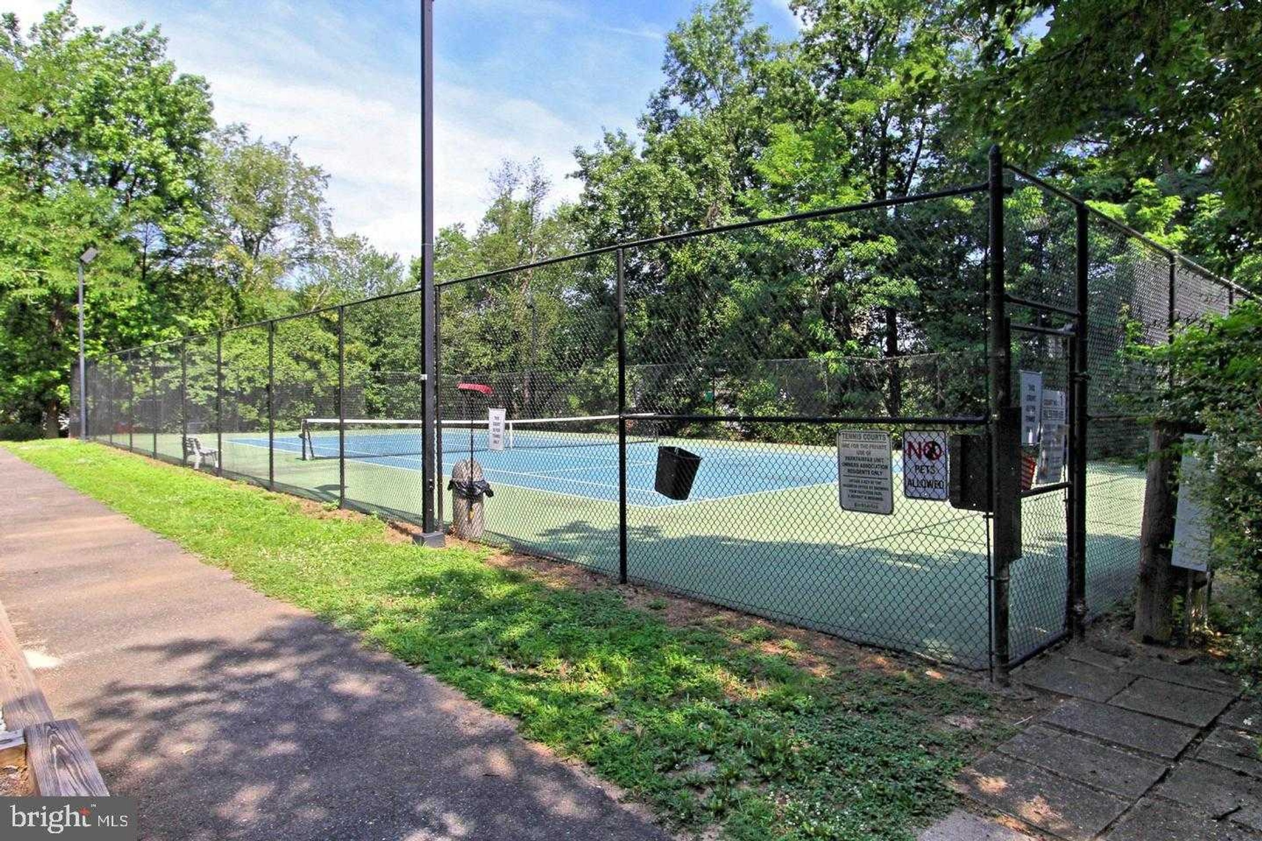 3539 Martha Custis Dr photo 33