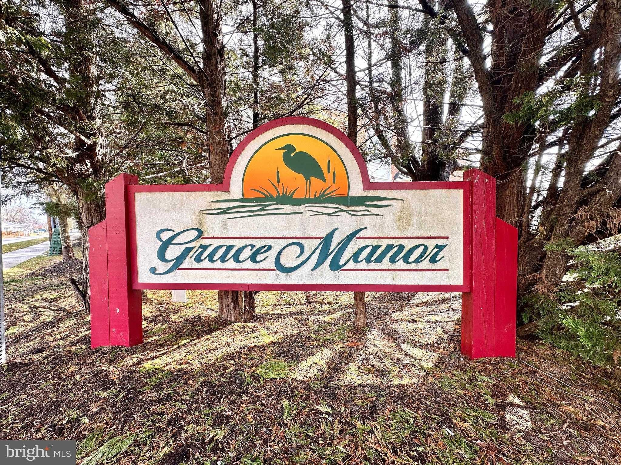 100 Grace Manor Dr photo 49