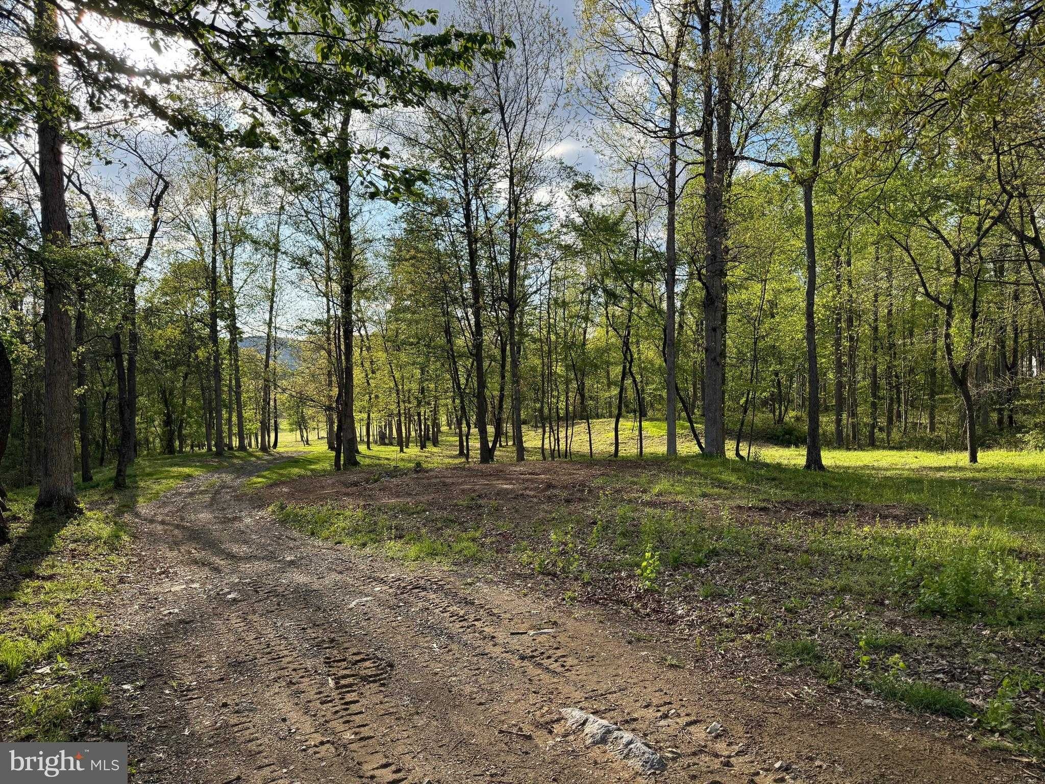 258 Ore Bank Rd photo 5