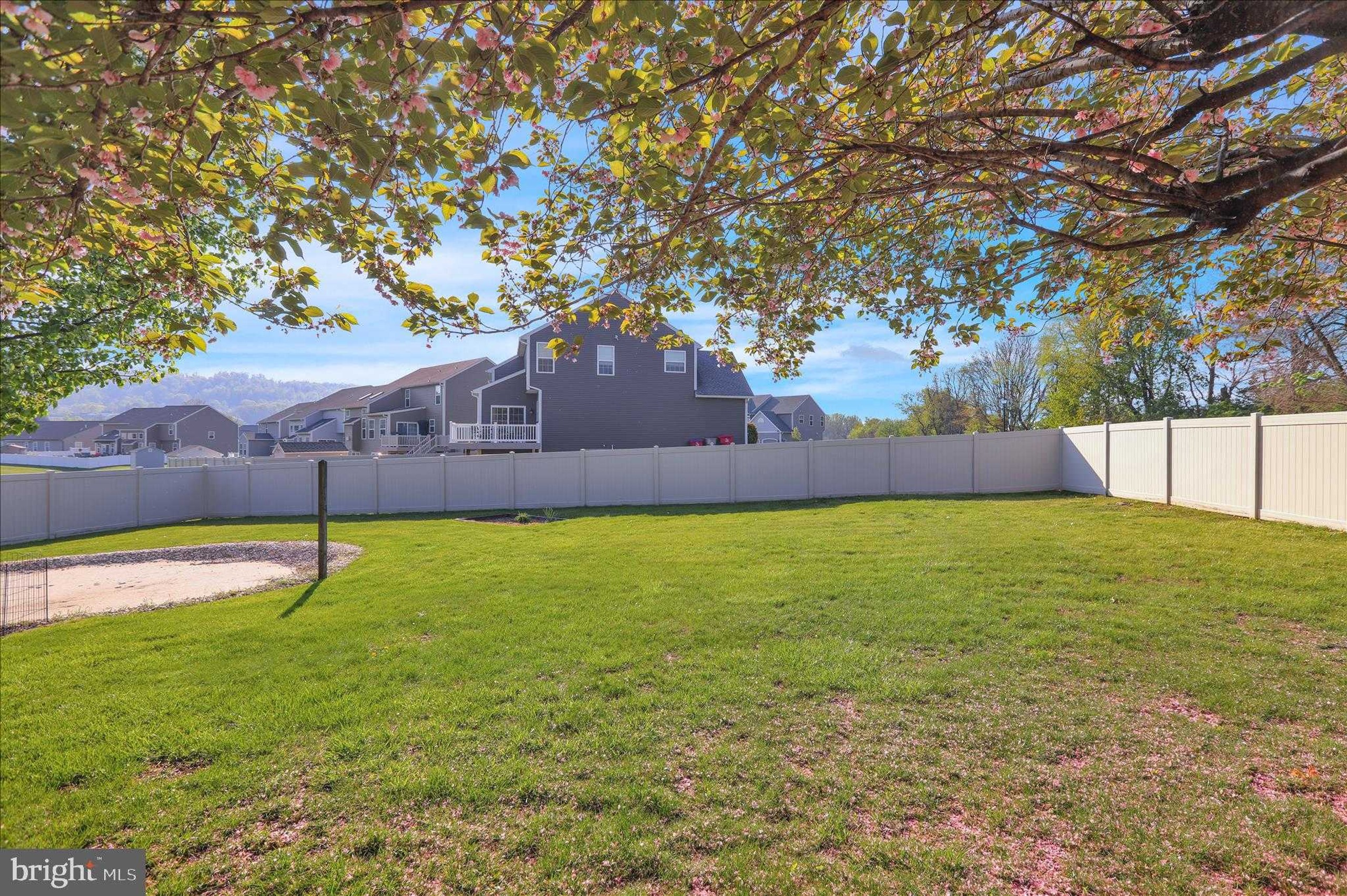 402 Columbus St photo 7