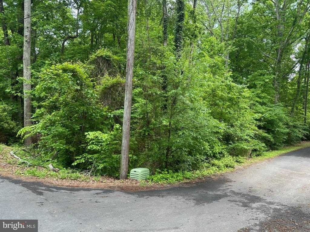 323 Palomino Ln photo 2