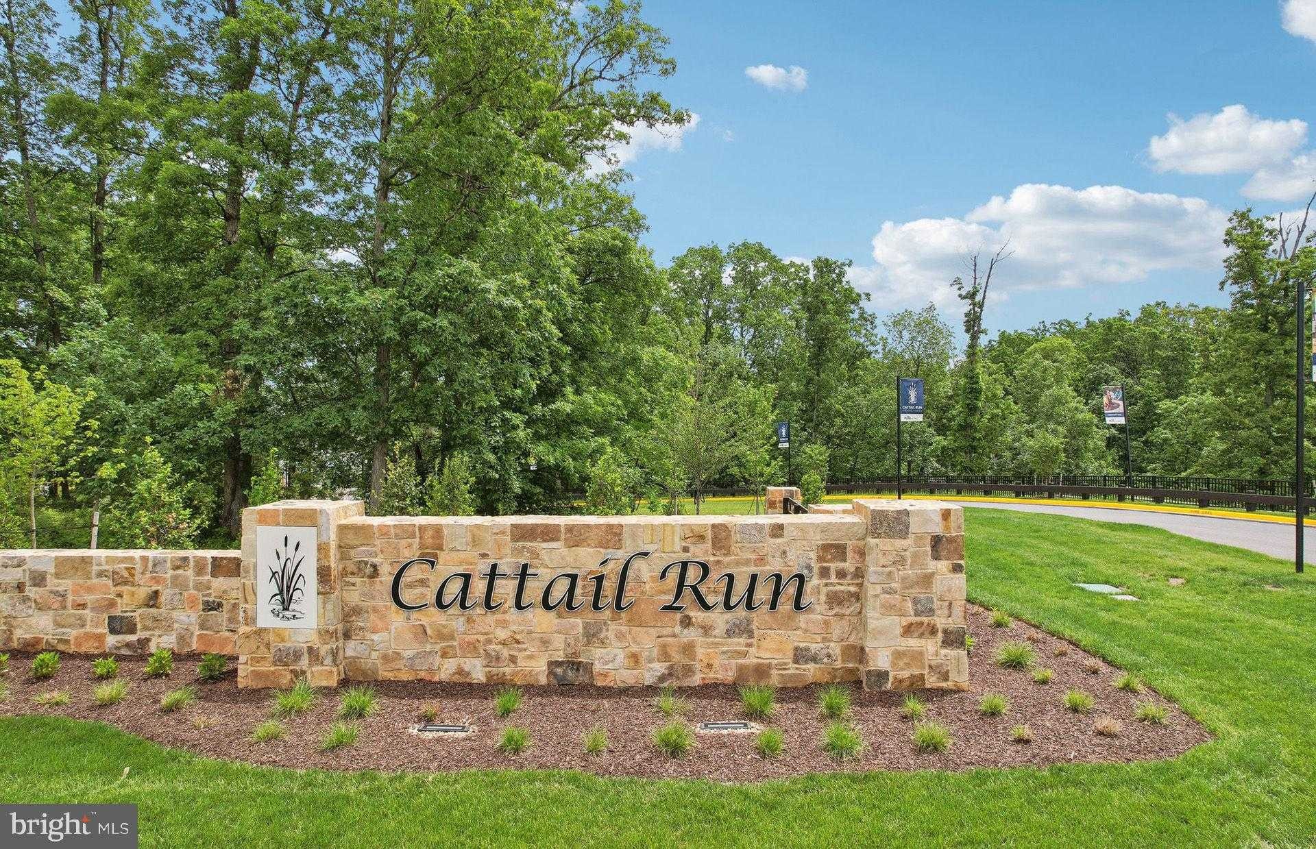 42708 Cattail Creek Dr photo 64
