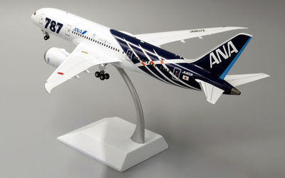 ANA ボーイング 787-8 JA802A 画像1